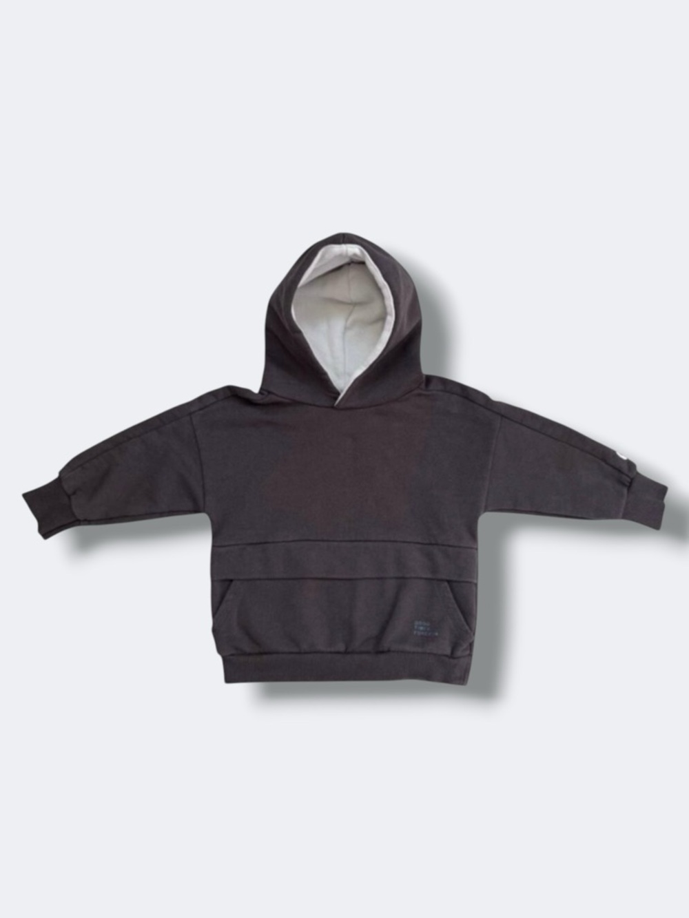 Zara Boys Hoodie 12-18M Gray Pullover Kangaroo Pocket Always Growing Spellout